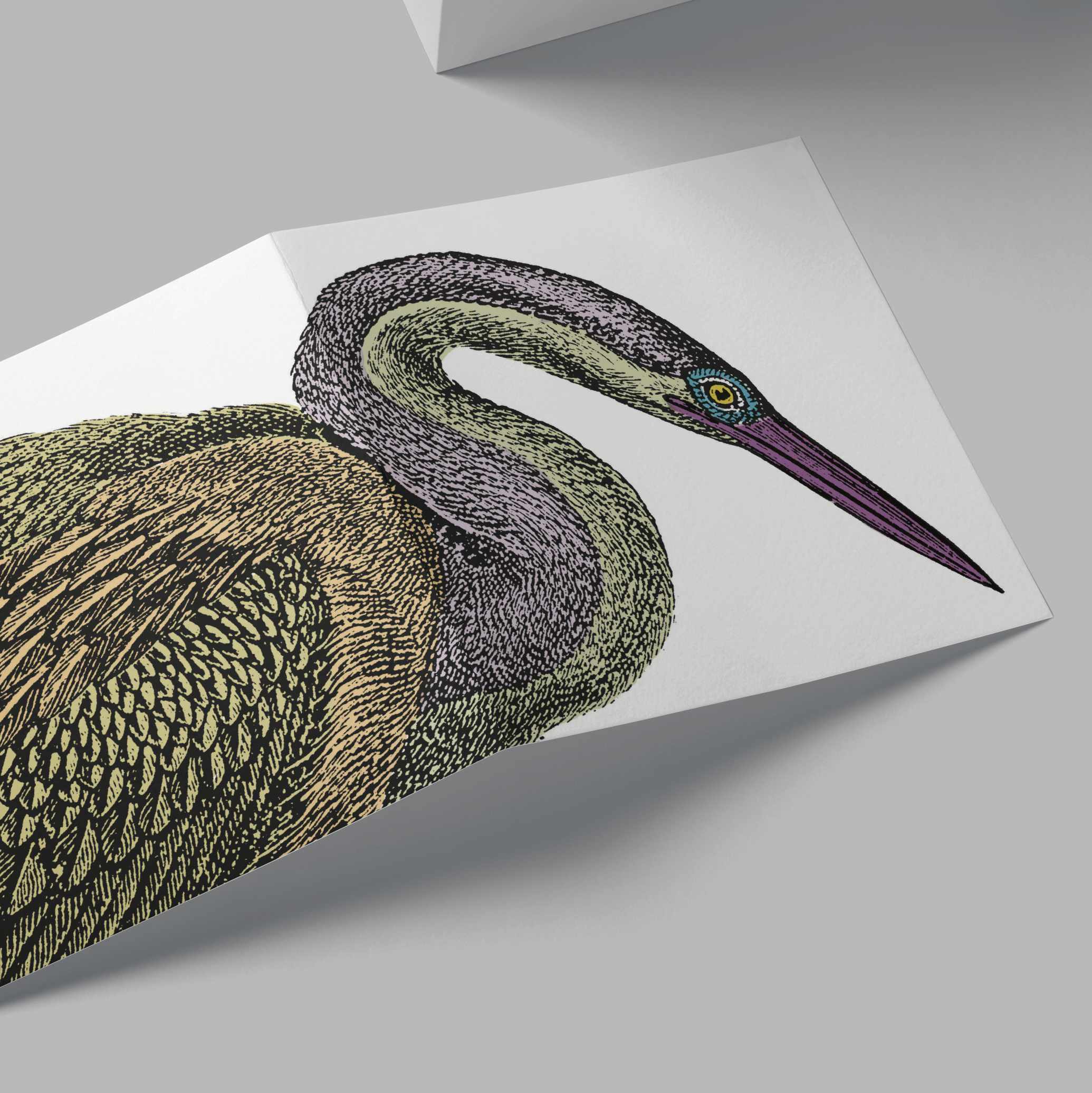 Darter Card